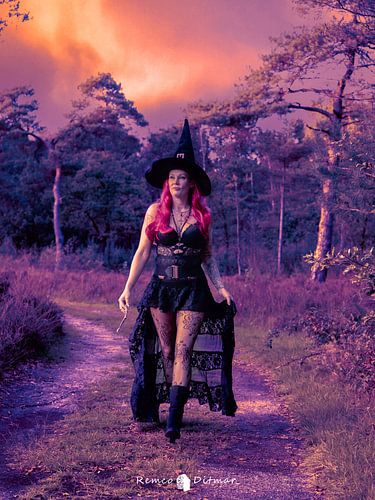 Mystical Encounter in the Forest