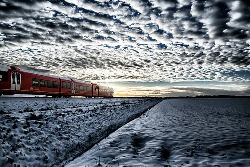 Arriva le train en route de Bad Nieuweschans à Groningen