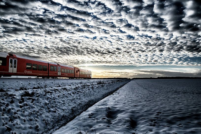 Arriva trein onderweg van Bad Nieuweschans naar Groningen van Jan Sportel Photography