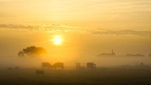 Cows in the Mist sur Dirk van Egmond
