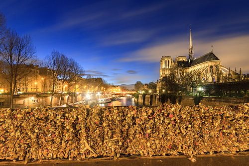 Notre-Dame vanaf de Pont de l'Archevêché in de avond