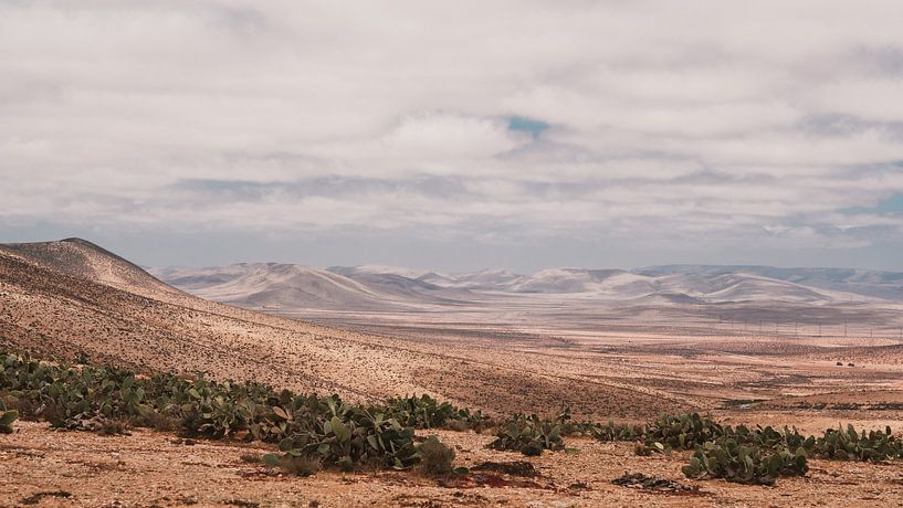 Marokkaans landschap van Andy Troy