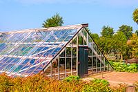The painting of the old-fashioned grape greenhouse
