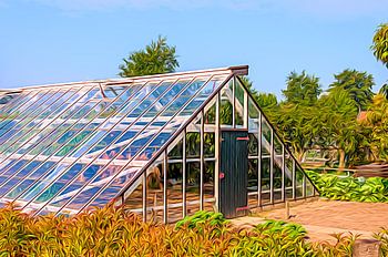 The painting of the old-fashioned grape greenhouse