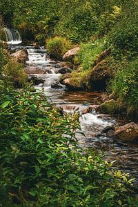 Stampfebächle – Sanfte Kaskaden Wasserfälle in Münstertal - 5