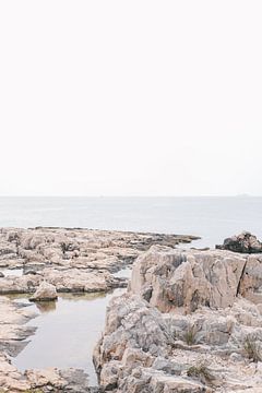 Rotslandschap Lokrum Eiland Kroatie van Amy Hengst