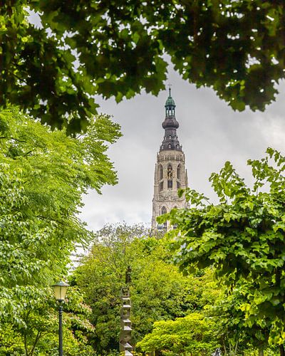 Breda, Grote Kerk in het groen