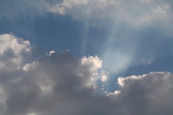 Doorbrekend zonlicht