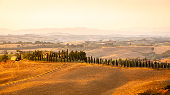 Toscane