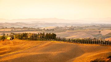 Toscane sur Gunter Nuyts