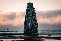 De stenen draak van IJsland