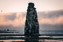 De stenen draak van IJsland van Studio Graber