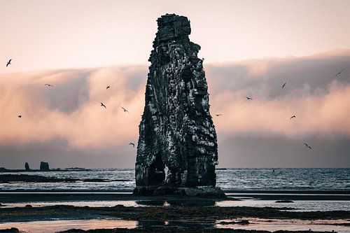 De stenen draak van IJsland