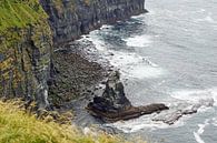 Die Cliffs of Moher sind die bekanntesten Klippen in Irland. von Babetts Bildergalerie Miniaturansicht