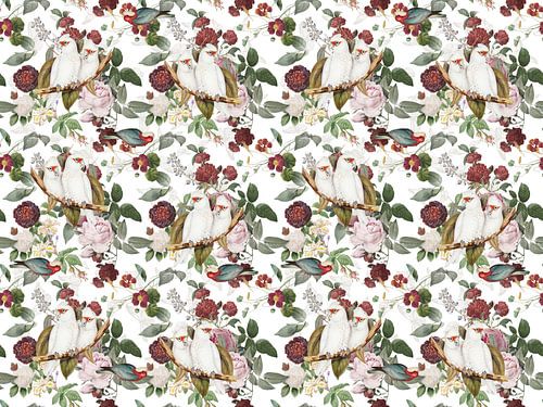 White Spring Wallpaper