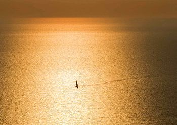 Sailboat lonely in golden sea