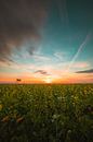 Sonnenuntergang Walcheren von Andy Troy Miniaturansicht