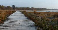Natuurgebied
