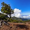 Paysage de montagne au Pico Ruivo sur Dirk Rüter
