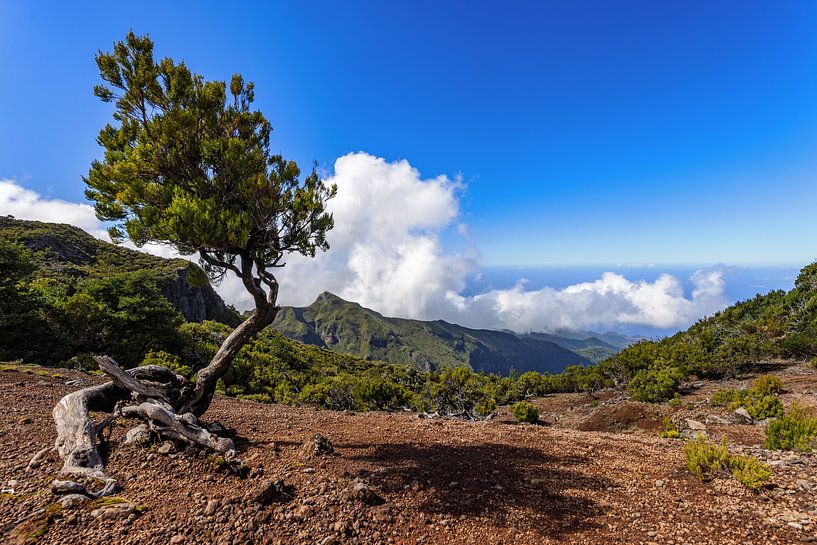 Berglandschaft am Pico Ruivo von Dirk Rüter