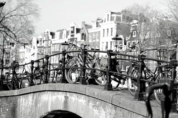 Amsterdam / brug op de Prinsengracht  van Marianna Pobedimova