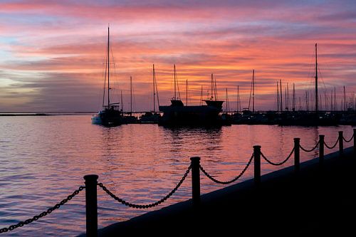 Avondrood Havenzicht Vredige Marina in Schemerlicht Haven boten