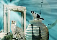 Griekse katten
