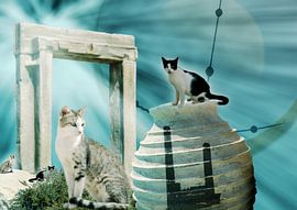 Griekse katten by Ans van der Heide