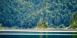 Ein Vormittag am Eibsee von Henk Meijer Photography