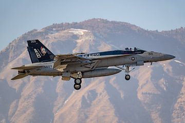 Bijzondere gast op Aviano Air Base gespot! van Jaap van den Berg