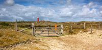 Duingebied vuurtoren Texel