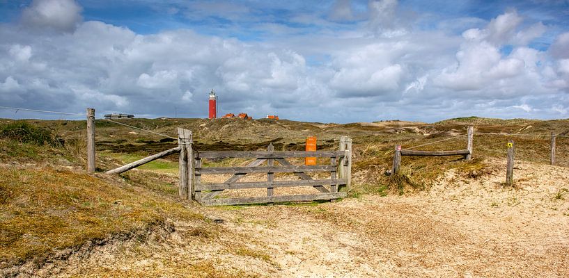Duingebied vuurtoren Texel by Ronald Timmer