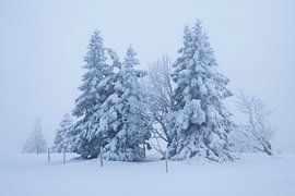 Secure solitude by Anselm Ziegler Photography