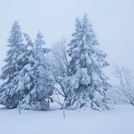 Geborgene Einsamkeit von Anselm Ziegler Photography