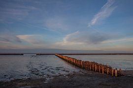 vasières à marée basse wierum