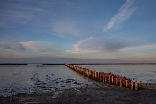mudflats at wierum low tide