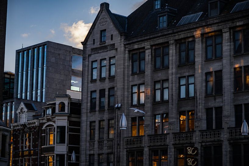 Amsterdam par Terence_photography