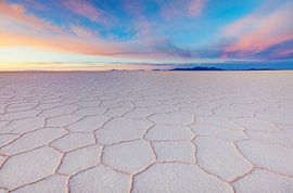 tenderness by Anna Gibiskys