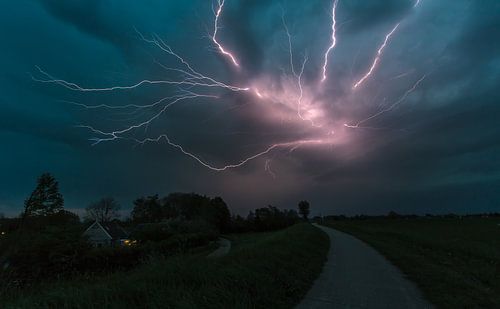 Spider Lightning sur Ronald van Dijk