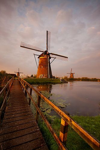 Kinderdijk in avondlicht