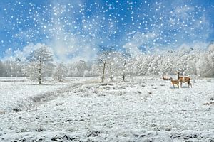 Winter landschap