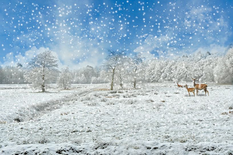 Winter landschap von Jeannette Penris