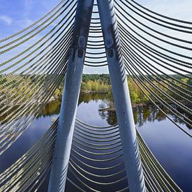 Abstract: Play of Lines: Lommel Bosland Lookout Tower by Kristof Leffelaer