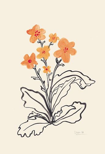Vibrant Orange Flowers