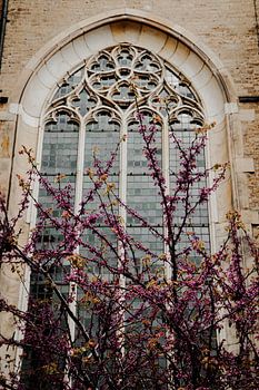 Kirchenstand mit rosa Blumen davor in Deventer.