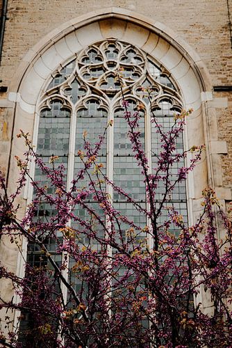 A church stall with pink flowers in front of it in Deventer.