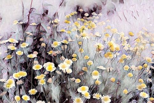 Flower meadow with yellow wildflowers watercolor painting
