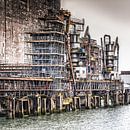 Maassilo by Annette Roijaards thumbnail
