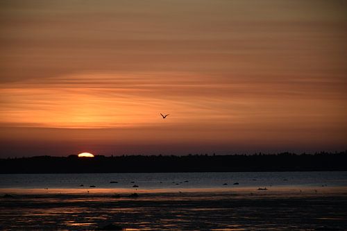 Een zonsondergang op een zomeravond