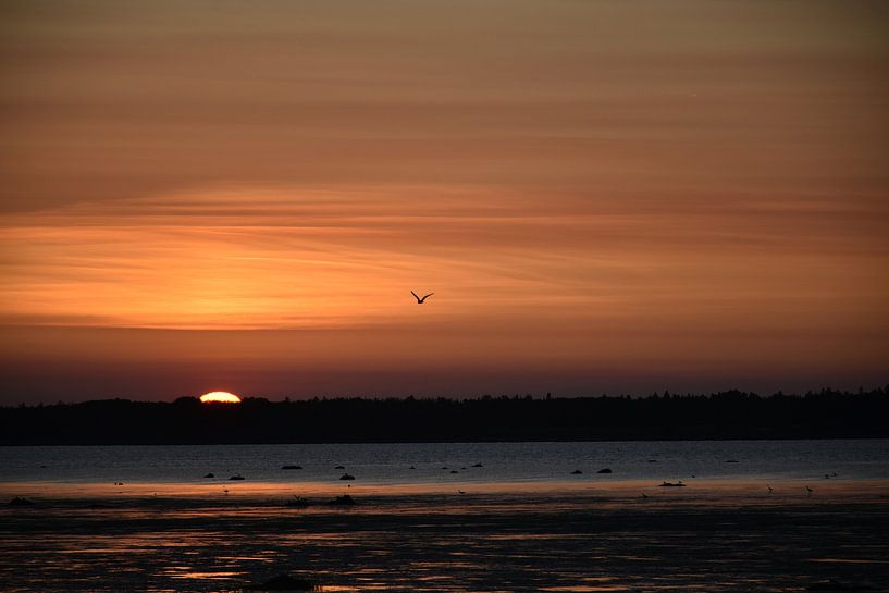 Ein Sonnenuntergang an einem Sommerabend von Claude Laprise